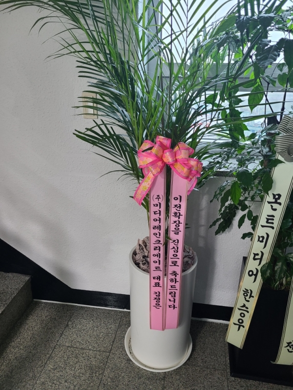 ������ ������ ��¡�ϴ� �Ĺ� - �Ʒ�ī(��) �ɹ�� ���� 