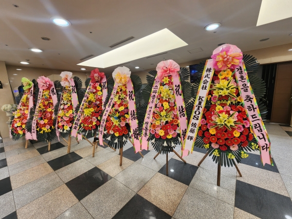 ������ ���� ����3��ȭȯ