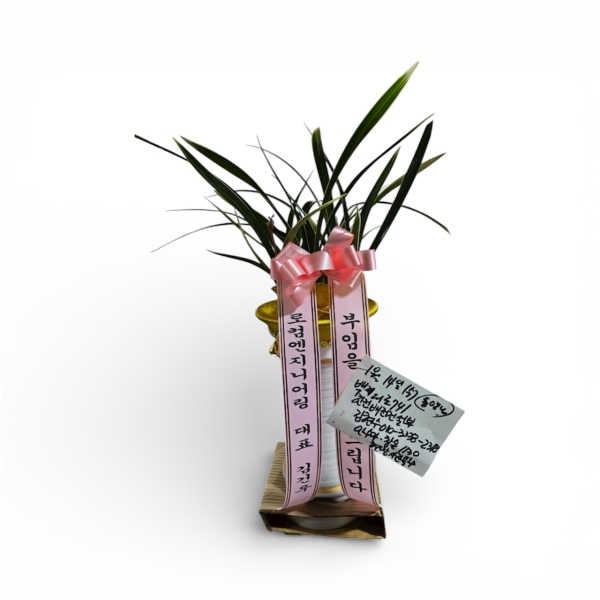 [�λ��̵� ��õ] �Ͼ���� �Ǿ�� ���� ����� �ɹ�� ���� 