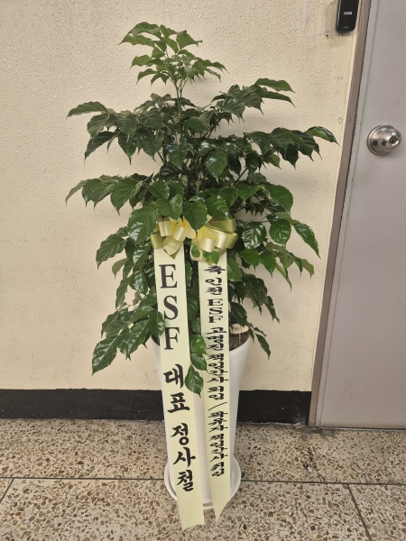 ��ġ�ʴ� �Ƹ��ٿ� ��� - �캸��(��) �ɹ�� ���� 