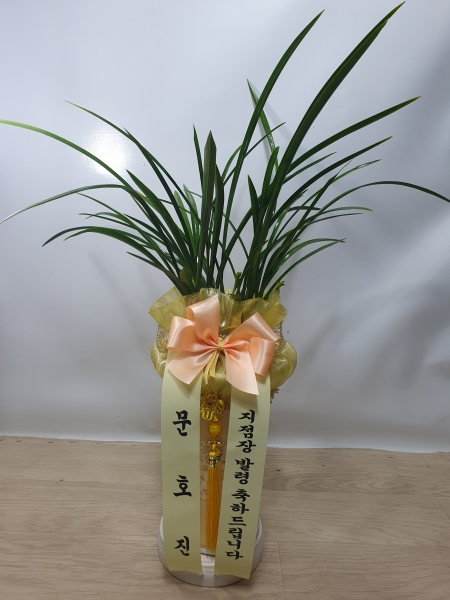 [�λ��̵� ��õ] �Ͼ���� �Ǿ�� ���� ����� �ɹ�� ���� 