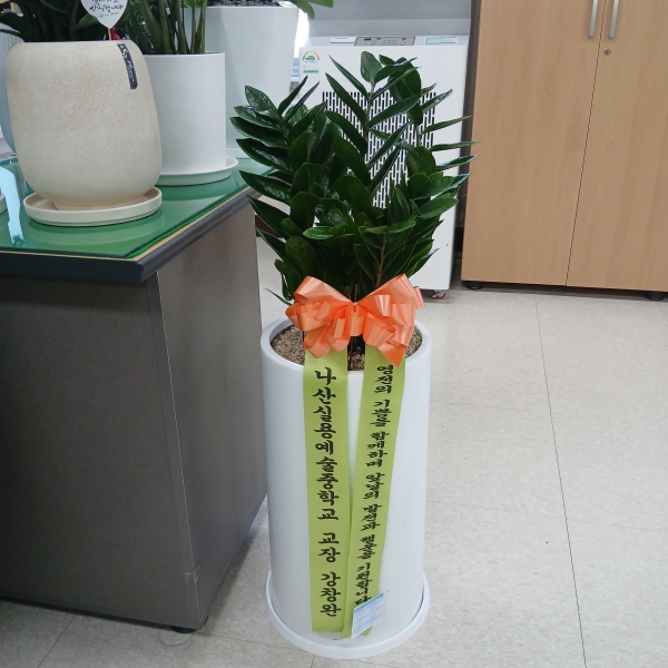 ��ø���! ������ ���漮 �ް� ���ǰԿ� - ������ �ɹ�� ���� 