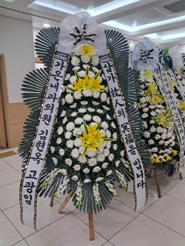 ô  ǰ! - ö119 3ܱ⺻ȭȯ  (Ʈ) ɹ  