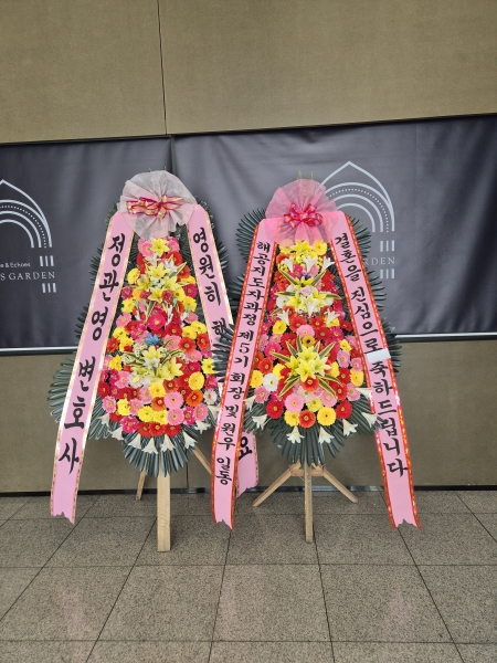 ôº ǰ! - ö119 3ȭȯ ɹ  