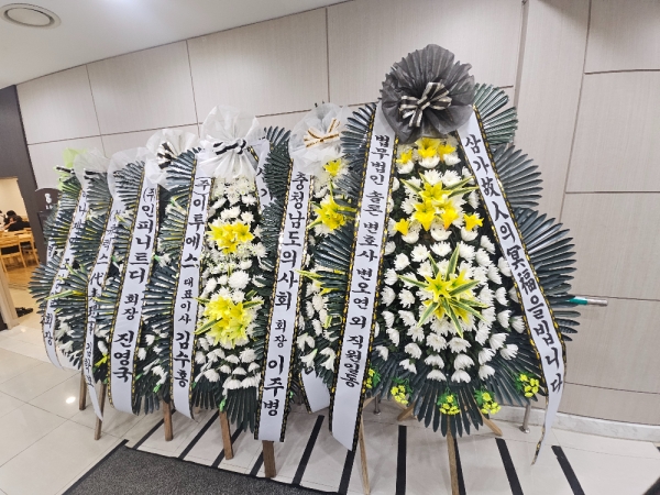 ô  ǰ! - ö119 3ܱ⺻ȭȯ  (Ʈ) ɹ  