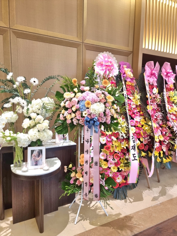 ȥ ȭȯ -ȥ ູԴϴ ɹ  