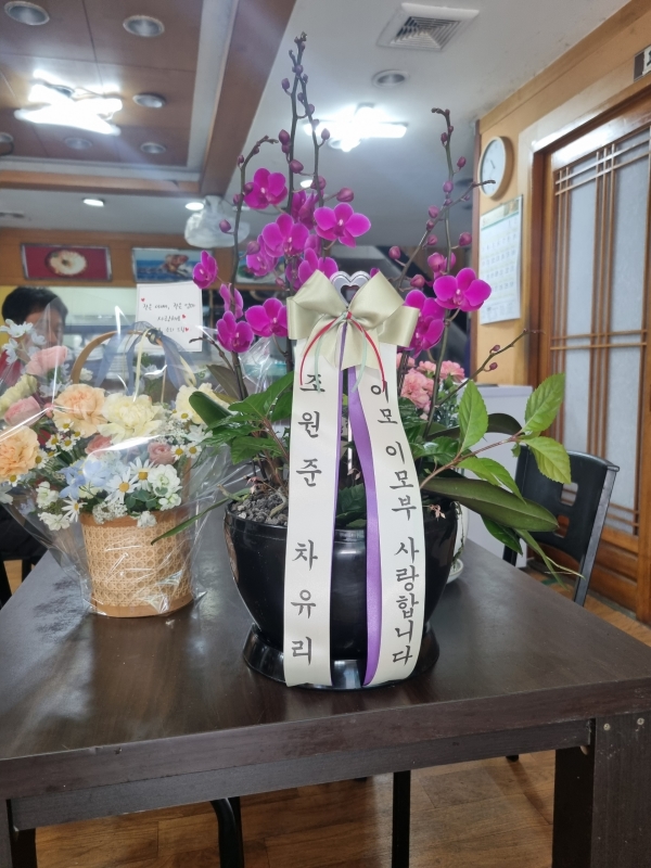 �������� �����ִ� ���׸��� �Ĺ� - �캸��(ȭ�⺯�氡��) �ɹ�� ���� 