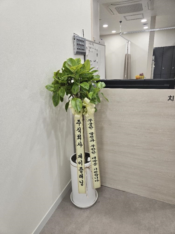 Office & nature �𰥰�������(��) (ȭ�⺯��)