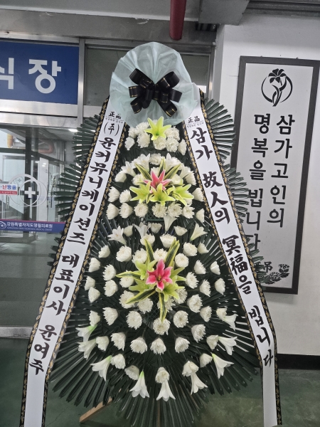 ������ ���� ���� 3�� ȭȯ �ɹ�� ���� 