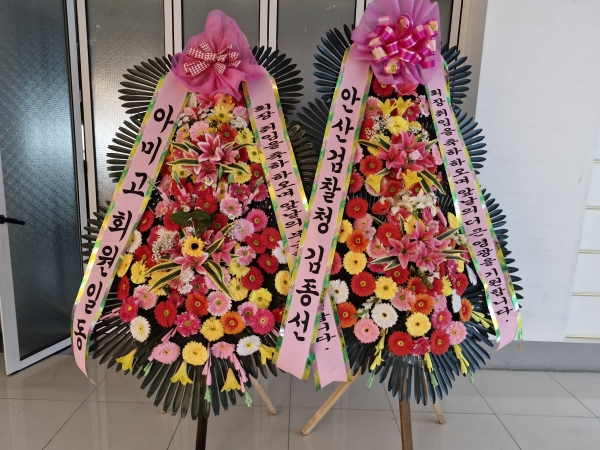 ����3�ܱ⺻ȭȯ �ɹ�� ���� 