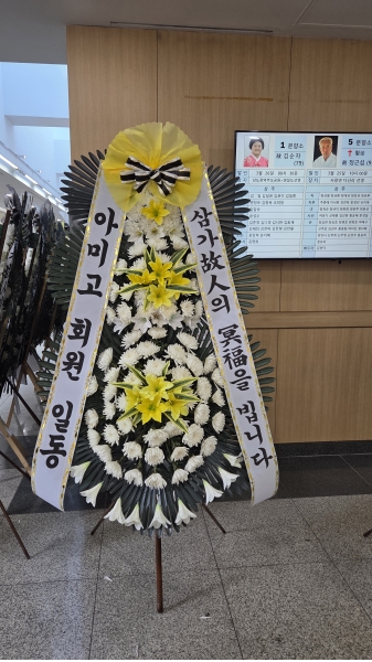 ������ 3�� ȭȯ (���� ) - ������ ������ �ǻ����... �ɹ�� ���� 