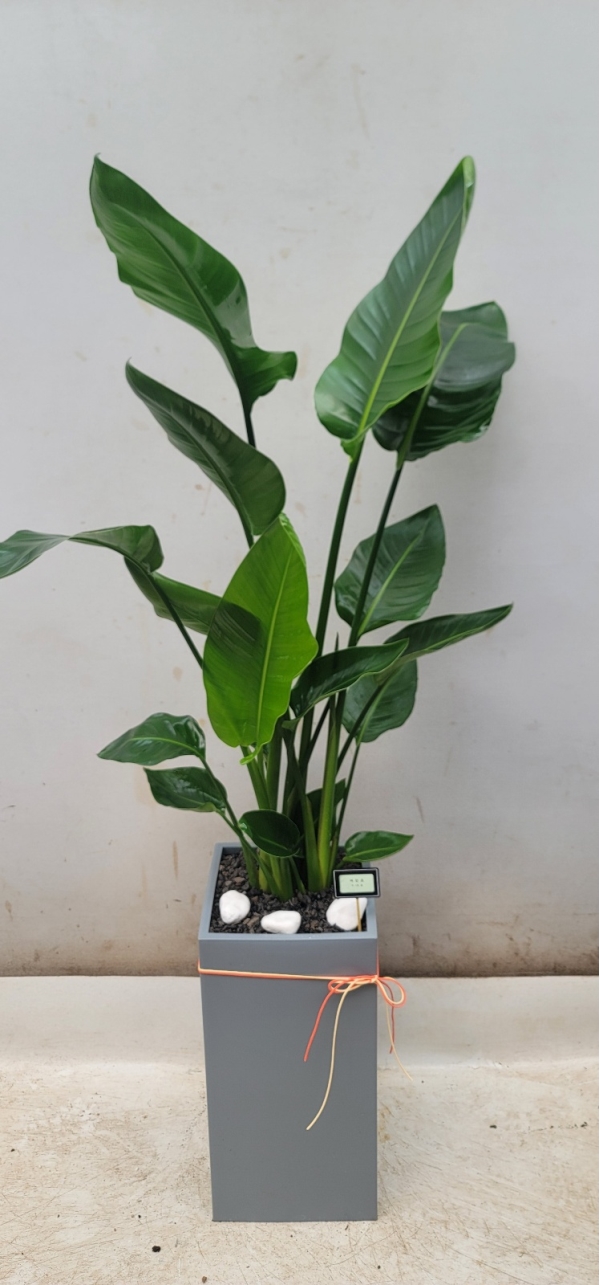 ����� �����ִ� �ڿ��� ���� - ������(��) �ɹ�� ���� 