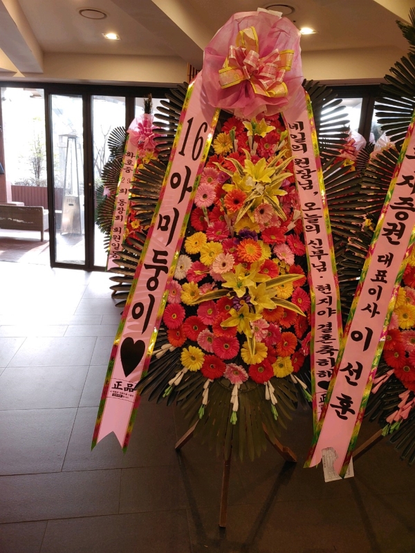 ������ ���� ����3��ȭȯ �ɹ�� ���� 