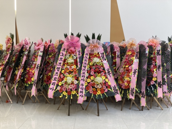 ����3�ܱ⺻ȭȯ �ɹ�� ���� 