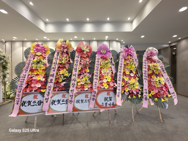 ������ ���� ����3��ȭȯ �ɹ�� ���� 