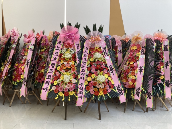 ����3�ܱ⺻ȭȯ �ɹ�� ���� 