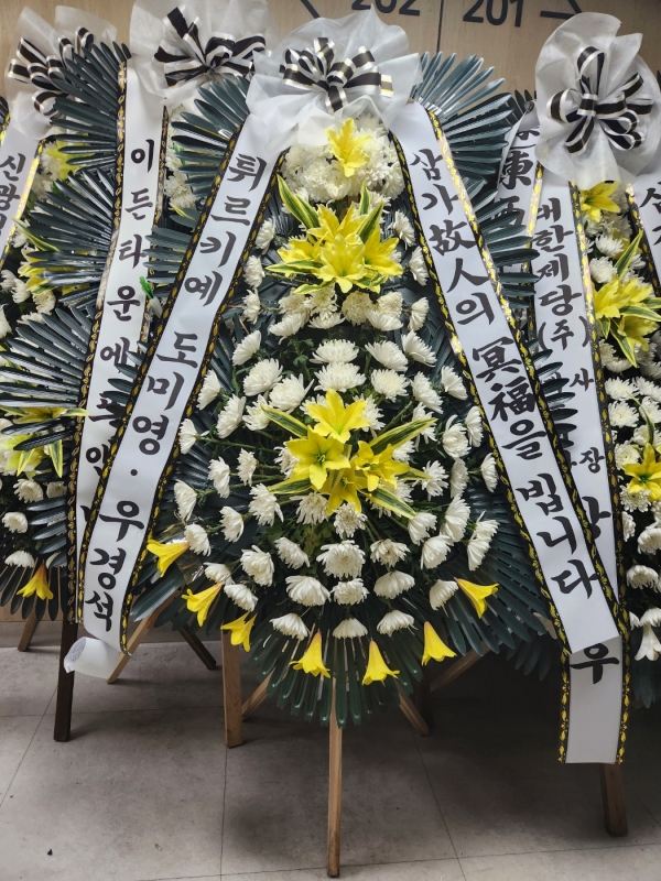 ������ ���� ���� 3�� ȭȯ �ɹ�� ���� 