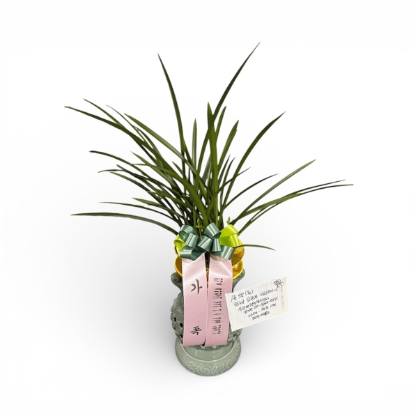 ���� ������ �����մϴ� - ö��ҽ� �ɹ�� ���� 