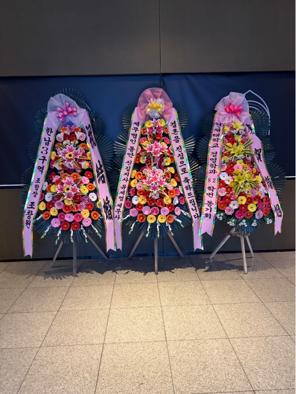 ����3�ܱ⺻ȭȯ �ɹ�� ���� 