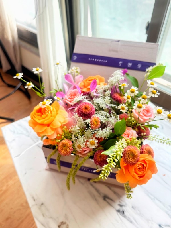 [����,������]  Love is a rose - A pink �ɹ�� ���� 