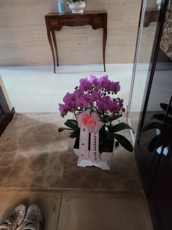 Office&Nature - ȭ  ũȣ () ɹ  