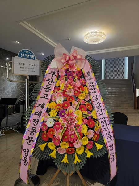 ȥ 3ȭȯ - (3 ⺻)λ  ο.... ɹ  