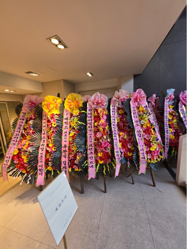 ����3�ܱ⺻ȭȯ