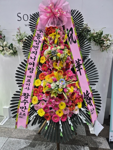 ������ ���� ����3��ȭȯ �ɹ�� ���� 