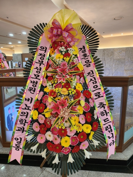 ����3�ܱ⺻ȭȯ �ɹ�� ���� 