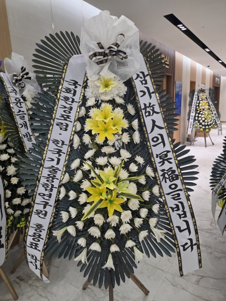 ������ ���� ���� 3�� ȭȯ �ɹ�� ���� 