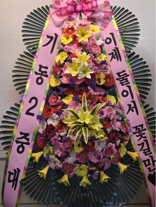 ����3��ȭȯ �ɹ�� ���� 