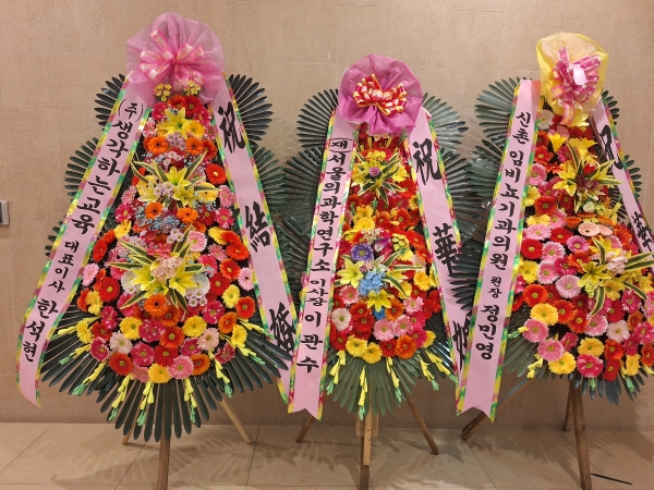 ����3�ܱ⺻ȭȯ �ɹ�� ���� 