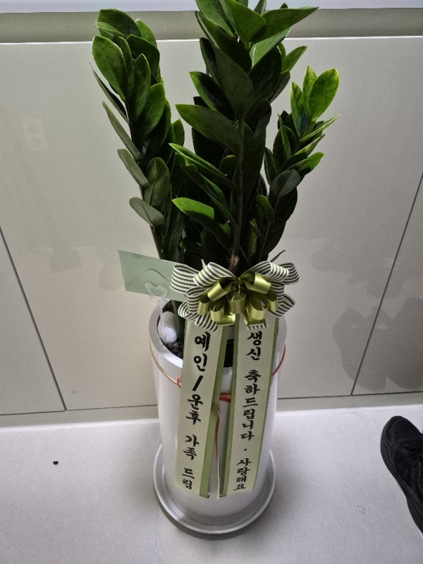 �ǳ����� Ű��� ���� �������� ����  ������(��) �ɹ�� ���� 