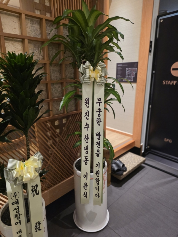  ҷ Ƹٿ ǳĹ - () ɹ  