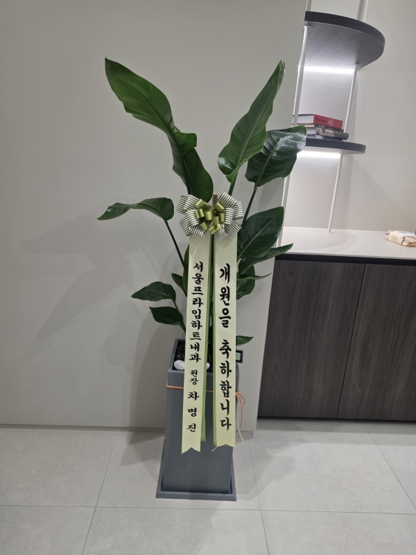 ����� �����ִ� �ڿ��� ���� - ������(��) �ɹ�� ���� 