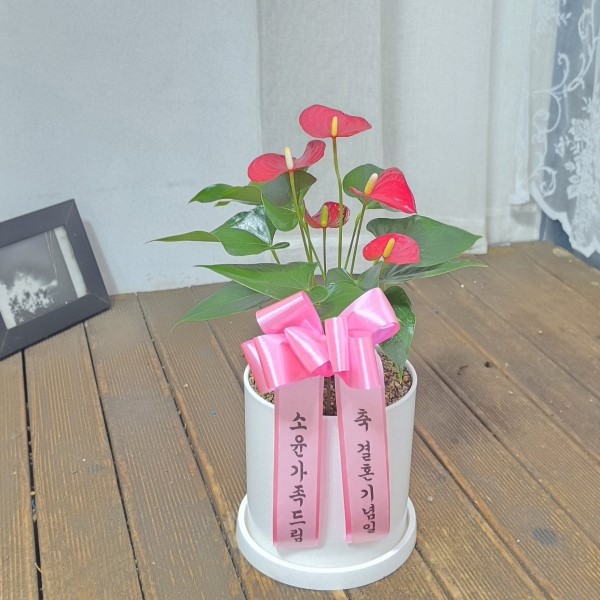 [����,�������,����ȭ�⺯��] �����ϴ� ���� ��� -  �������� �Ǿ� �ִ� �Ƚ����� �ɹ�� ���� 