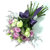 French Purple