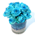Lusy Blue()