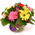 Chic - 