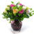 [] & Ƽ - 