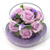[]Purple Mango