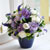 []Lovely lover - Purple veronica