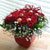 []Whiteday - 