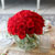 [] Beautiful colors - Red rose vase