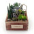 [] Office & Nature - Natural Garden(ȭǰ ٸȭ ü)