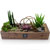 [] Office & Nature - Plant Box