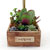 [] Office & Nature - Plant Garden