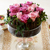 [] Beautiful colors - Natural Rose