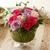 [] Beautiful colors - Sweety Rose