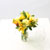 _  Yellow sun